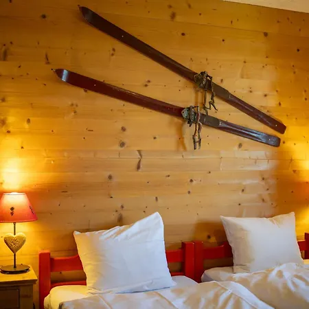 Chanterelle - Cosy Et Montagnard * Fey (Nendaz)